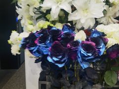 -FEI FEI FLOWER鲜花店·气球派对·宝宝宴布置(虹口德必运动Loft店)