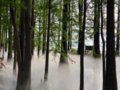 -东湖落雁景区