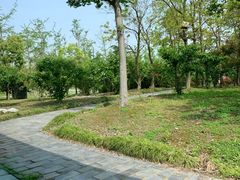 -东园小馆·早茶·淮扬小炒(宋夹城店)