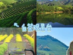 -阿露佳·舌尖上的安吉菜