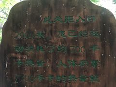 -黑龙潭风景区