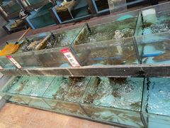 水产区-仑头海鲜城(仑头环村南路店)