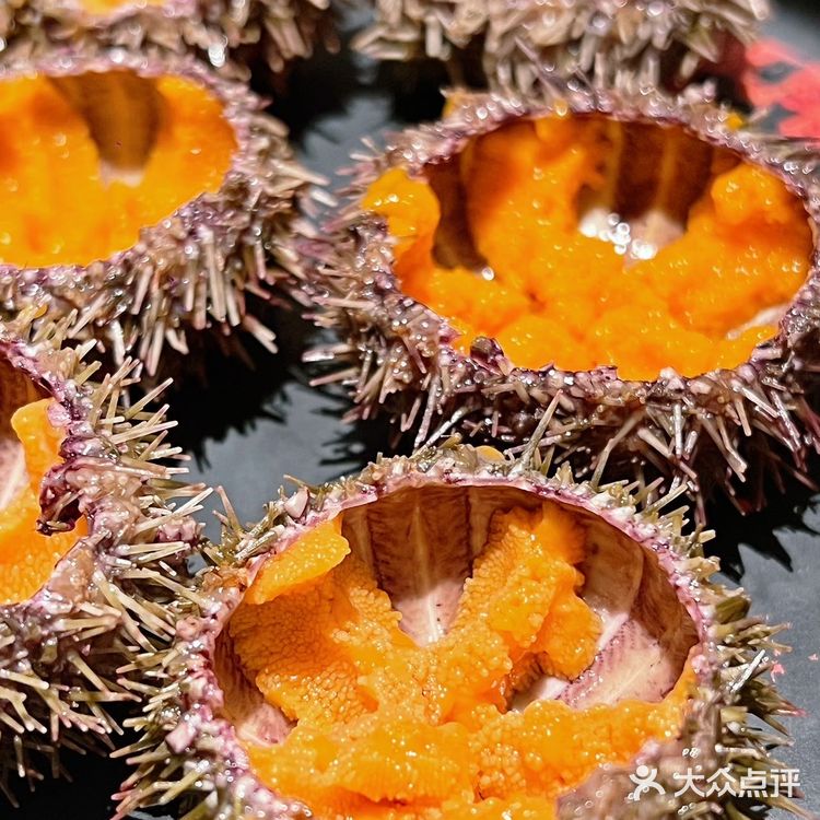 珠城云端日料放题·星龙吟 | 太享受🍸