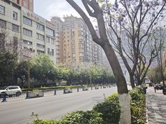 -攀枝花公园