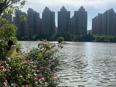 -成都南湖公园
