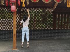 -洛阳白云山景区