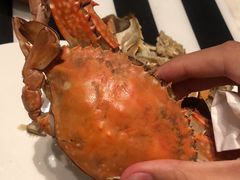 -郑州富力万达文华酒店·云端美食汇自助餐厅