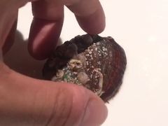 -V-ONE西雅图海鲜自助餐厅(仓山万达广场店)