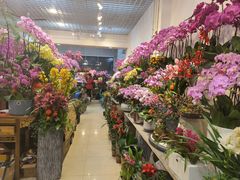 -双季花艺园艺市场(浦东店)