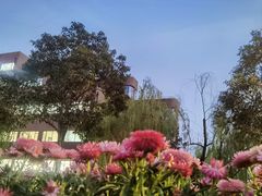 -上海交通大学(闵行校区)