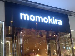 -momokira米努特·德文卷毛猫·棉花面纱犬