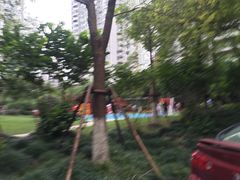 -新湖明珠城