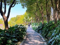 -美兰湖景区