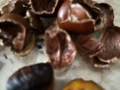 -新长发栗子食品有限公司(威海路店)