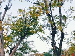 -深圳人才公园