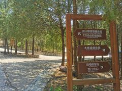 -北京十三陵国家森林公园蟒山景区