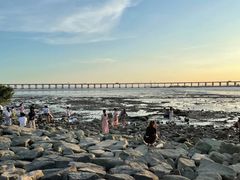 -宝安西湾红树林湿地公园