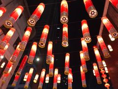 -石灰市毛记烧鸡公(解放碑店)