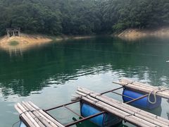 -广州市流溪河国家森林公园