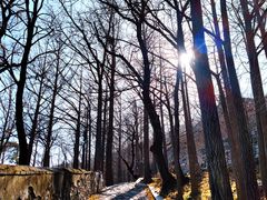 -阳台山自然风景区