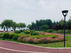 -丁香湖公园