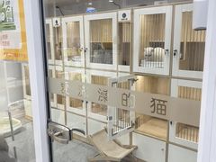 -爱洗澡的猫(天河路店)
