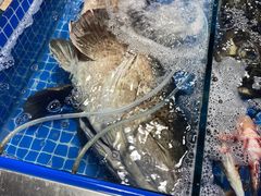 -三亚新鸿港水果一级批发市场