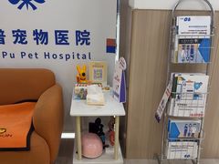 -申普宠物医院·眼科·心内科·影像科(普陀分院)