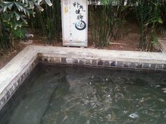 -龙达温泉生态城