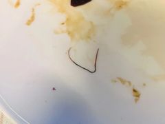 -梁溪河畔·吉府花园(南长街南下塘店)