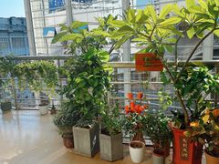-十二舍·湯物素煮(江泰潤政店)