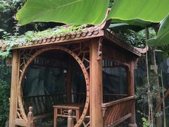 -呀路古热带植物园