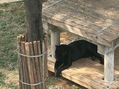 -石家庄市动物园