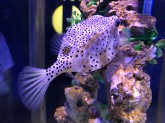 -太平洋海底世界