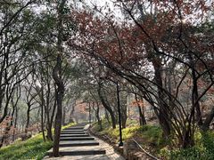 -虞山风景区