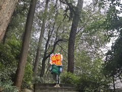 -大金鹰园