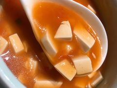 番茄炖豆腐-阿五黄河大鲤鱼(海尚店)