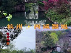 -西溪国家湿地公园