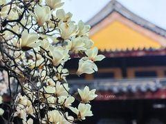 -龙华寺
