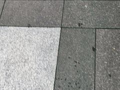 -银鲨海鲜烤肉火锅自助餐厅(五星店)