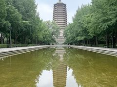 -玲珑塔公园