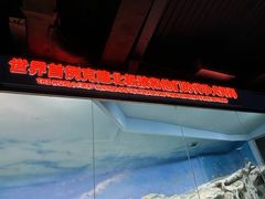 -哈尔滨极地公园