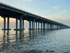 -宝安西湾红树林湿地公园