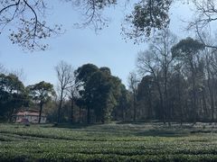 -汉庭(杭州灵隐寺龙井路店)