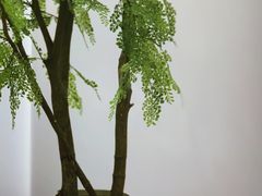 -喜鼎海胆水饺(平安金融中心店)