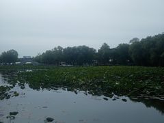 -长春市南湖公园