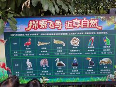 -广州长隆飞鸟乐园