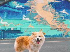 -云间粮仓