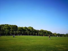 -昆山城市生态森林公园