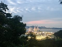 -野狸岛